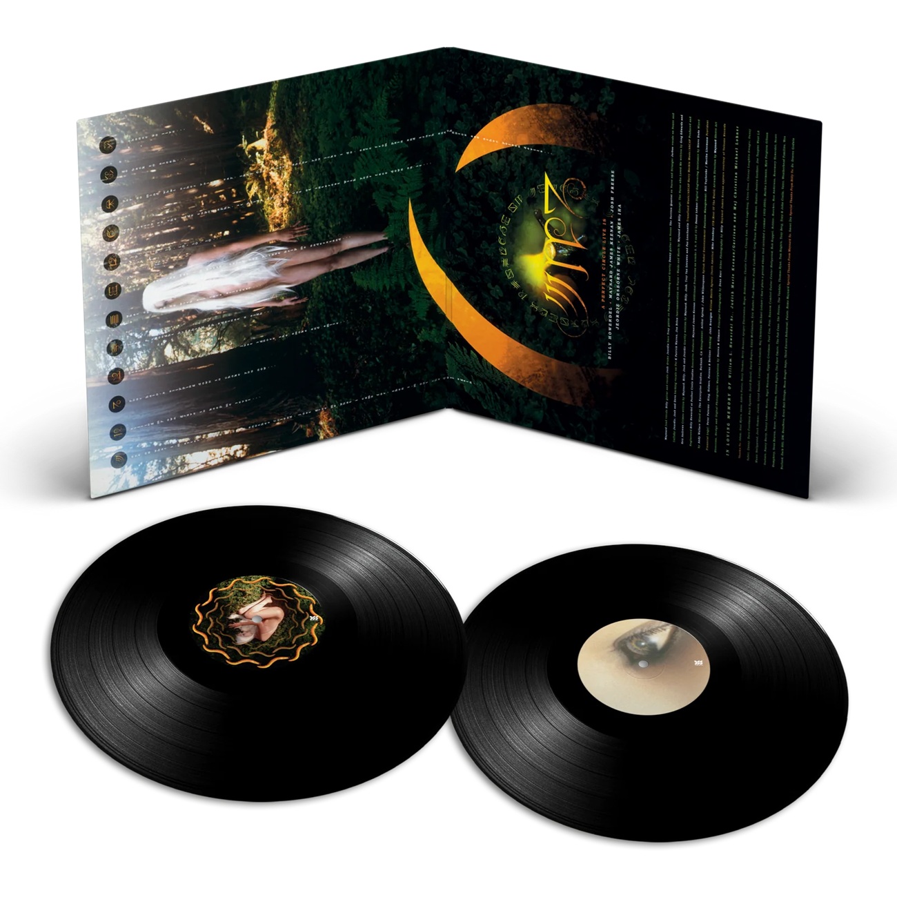 A Perfect Circle prepara una reedición en vinilo